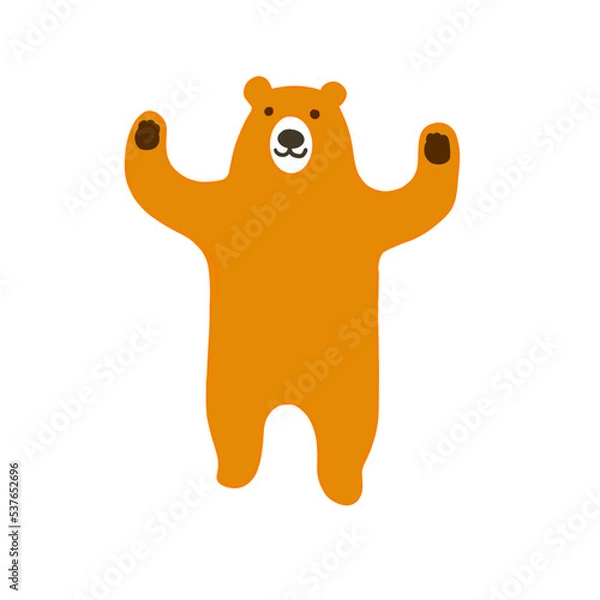 Obraz brown bear on white background