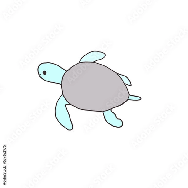 Obraz turtle