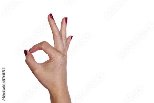 Obraz ok hand sign on transparent background	
