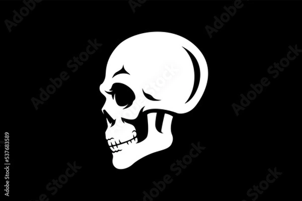 Obraz Side View of Simple Skull