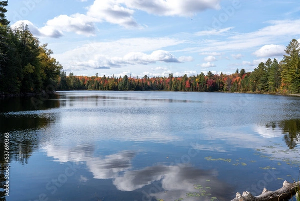 Fototapeta autumn landscape with lake and trees