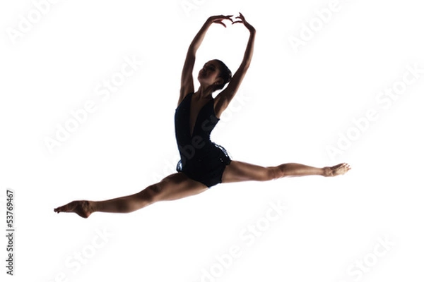 Obraz Female ballet dancer