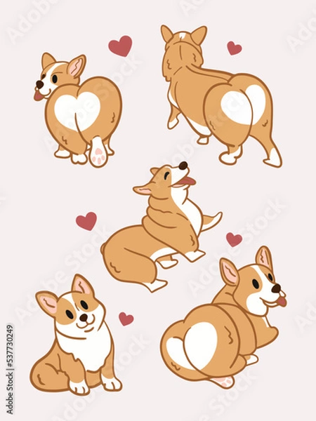 Fototapeta Set of Image Corgi Dog illustration background design