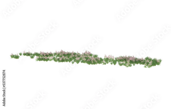 Fototapeta Field of flowers on transparent background. 3d rendering - illustration