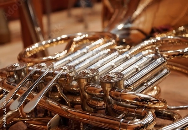 Obraz french horn