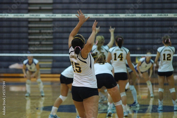 Obraz Serwis siatkówki Ch 2