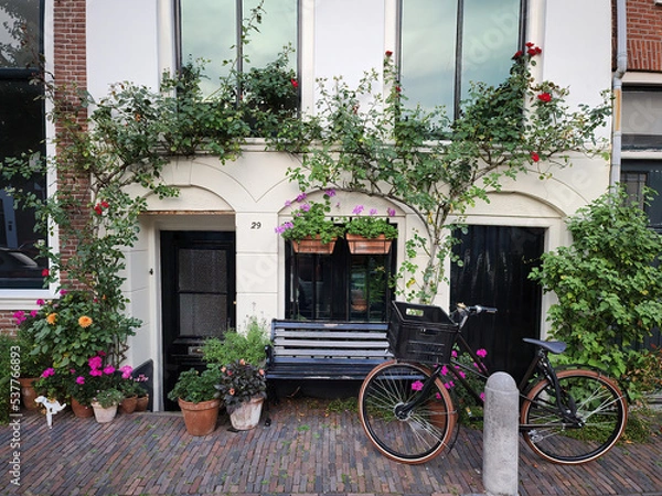 Obraz A beautiful house in Haarlem, Netherlands, with flowers and a bicycle in front of the porch