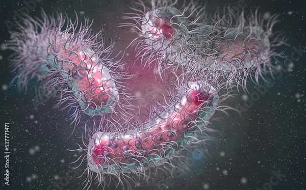 Fototapeta Medical background, Enterobacterales bacterium including pathogens salmonella, E. coli, plague bacillus, proteobacteria, gram negative, 3d rendering