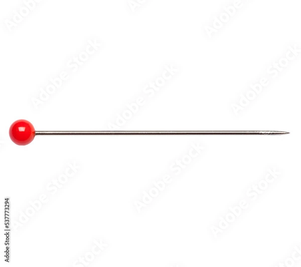 Obraz Single isolated Needle Pin with red head 