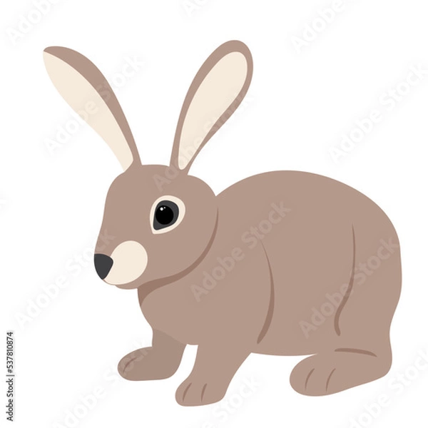 Fototapeta rabbit, hare on white background, isolated vector