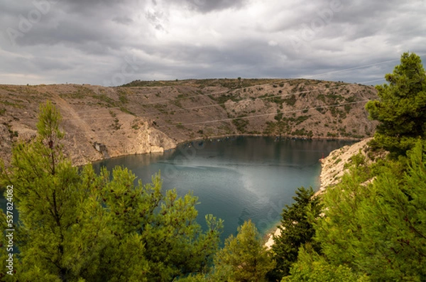 Fototapeta Pines by the Strait
