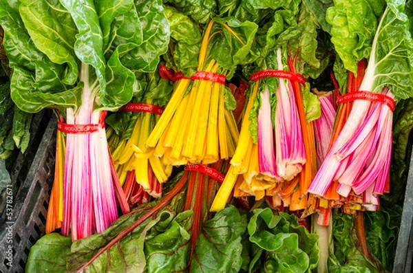 Obraz Bunches of fresh Swiss Chard at the market