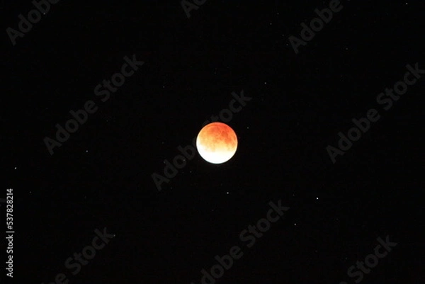 Fototapeta 皆既月食