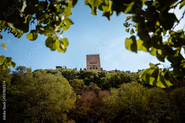 Obraz Alhambra de Granada