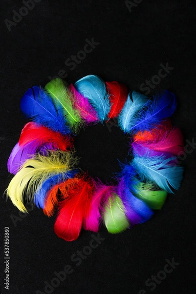 Fototapeta Black background texture of brightly colored dyed bird feathers frame in the colors of the rainbow or spectrum in a random pile viewed from above in a full frame view