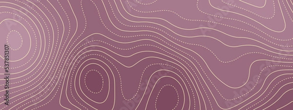 Obraz The stylized multicolored wavy abstract topographic map contour, lines Pattern background. Topographic map and landscape terrain texture grid. Wavy banner and color geometric form. Vector illustration