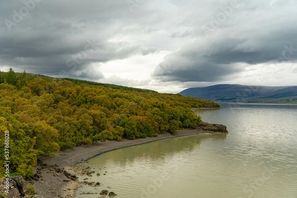 Obraz Hallormsstaður Forest