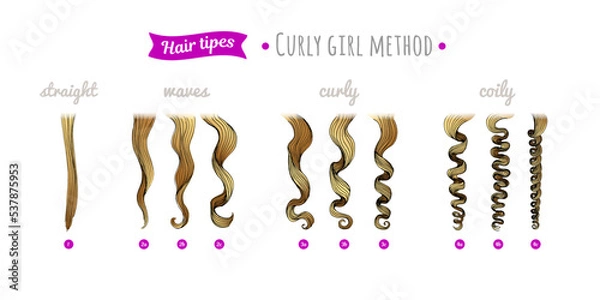Fototapeta Scheme of curly hair of different types. Straight, waves, curly, coily hair. Curly hair type chart. Curly girl method.