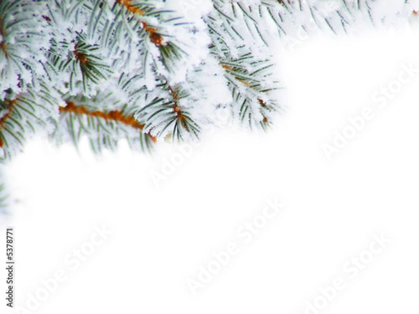 Obraz drzewko świąteczne