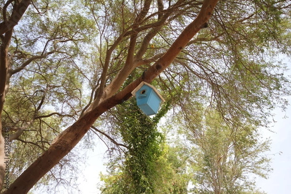 Obraz Bird house  on tree 