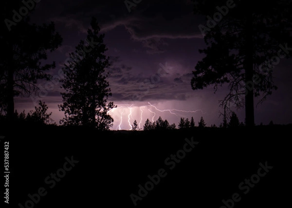 Obraz The Light is Bright