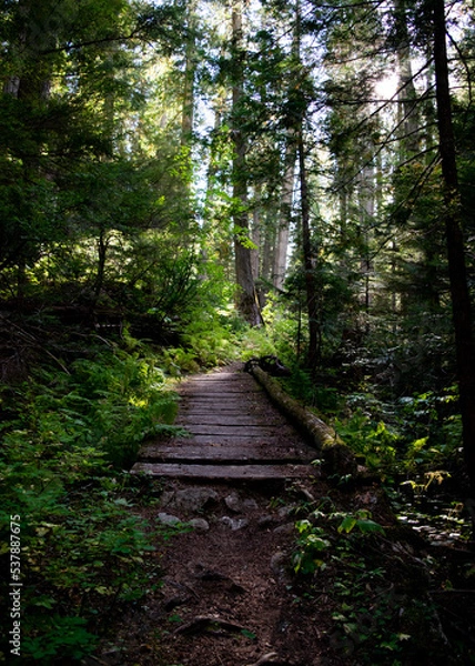 Obraz A Road to Somewhere