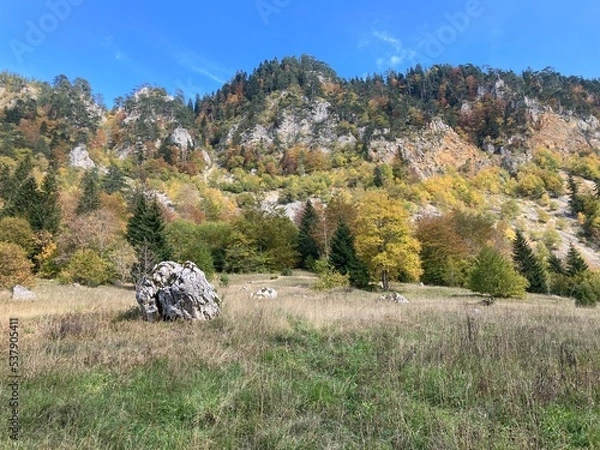 Fototapeta landscape with trees