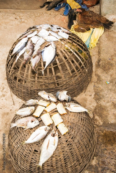 Obraz Dried fish on the basket 