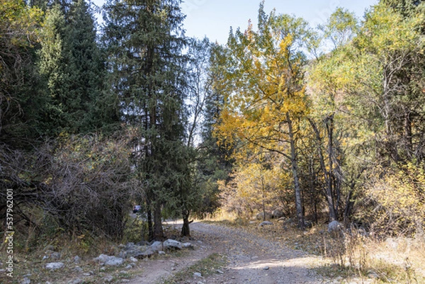 Obraz Autumn landscape - blue sky, yellow ground, mountains and hills, green and yellow foliage of the forest trees