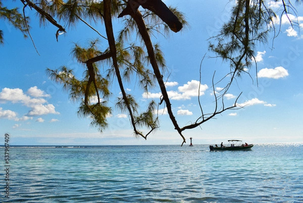 Obraz tree branch against sky hanging over the horizon line