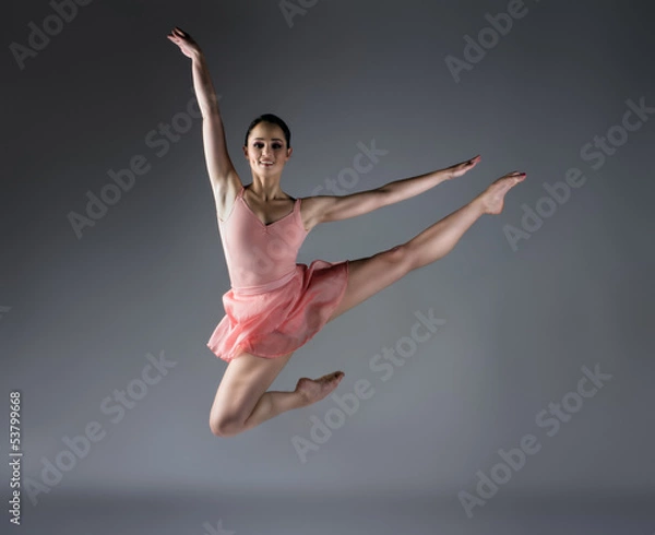 Obraz Female ballet dancer