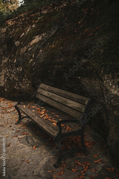 Obraz autumn