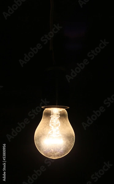 Obraz Old electric lightbulb