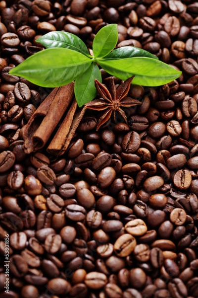 Fototapeta coffee beans