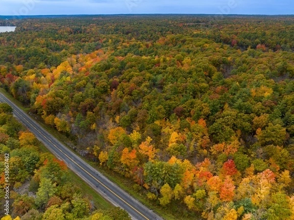 Fototapeta road in autumn
