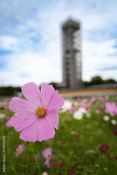 Obraz 9月浜名湖ガーデンパーク