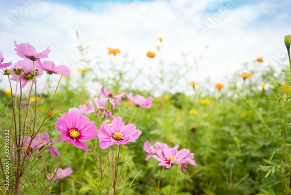 Obraz 9月浜名湖ガーデンパーク
