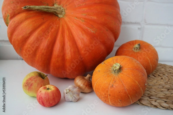 Obraz fresh autumn vegetables close-up