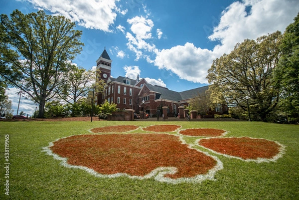 Obraz Clemson 3