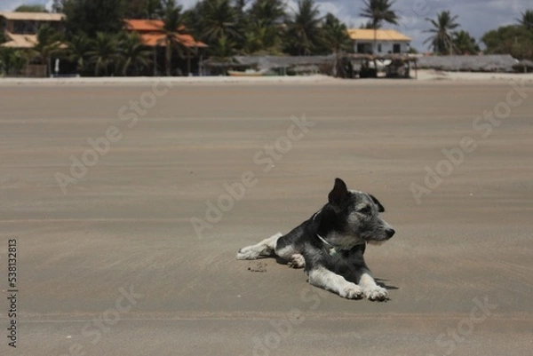 Obraz PRAIA DO COQUEIRO
