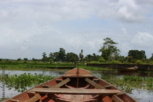 Obraz BARCO ANAJATUBA
