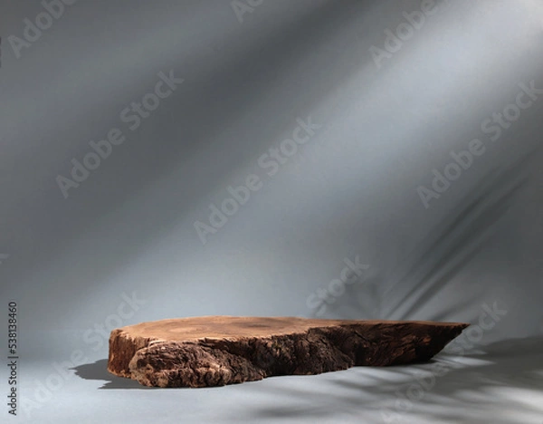 Fototapeta Beautiful wooden snag, cylindrical birch slab on a gray background with sunlight Podium. An empty showcase for product presentation