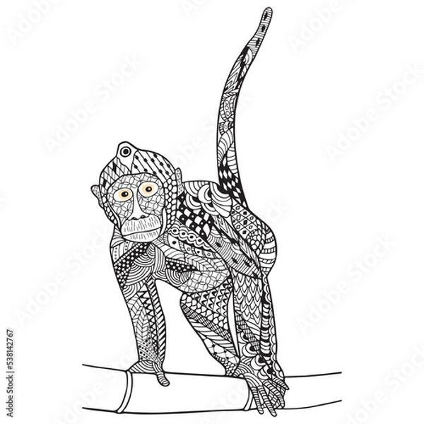 Fototapeta Monkey macaques hand drawn on white background