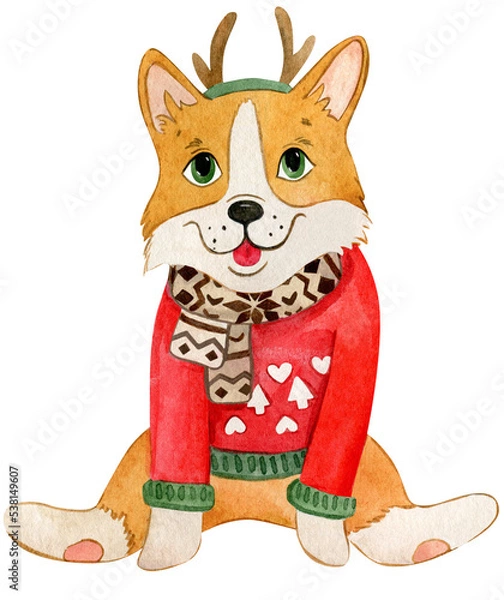 Fototapeta watercolor illustration with a cute winter corgi