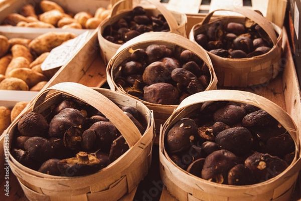 Obraz Grzyby na straganie