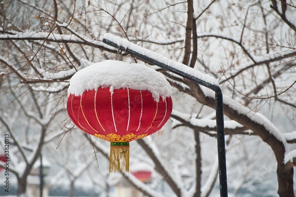 Obraz A Chinese lantern in the snow