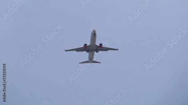 Obraz airplane in flight