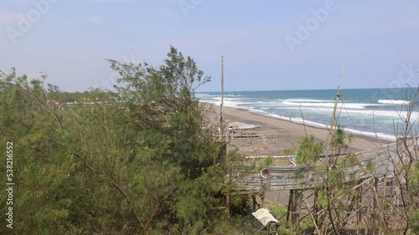 Obraz sand dunes and grass on beach