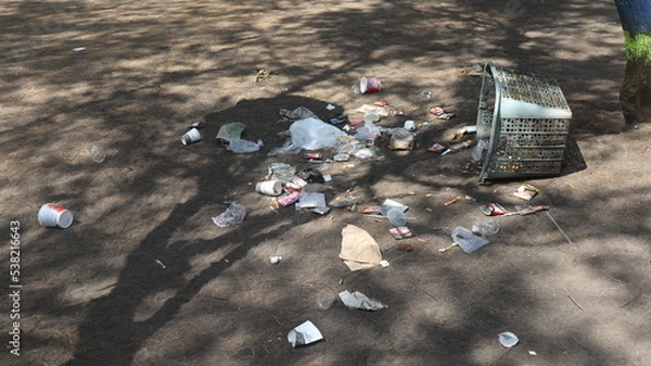 Fototapeta grass in the ground