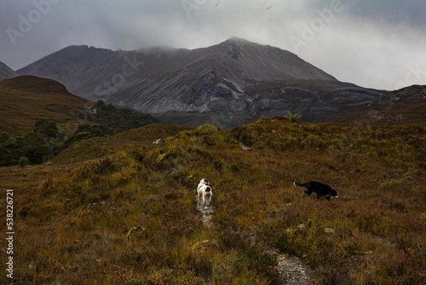 Obraz landscape with clouds